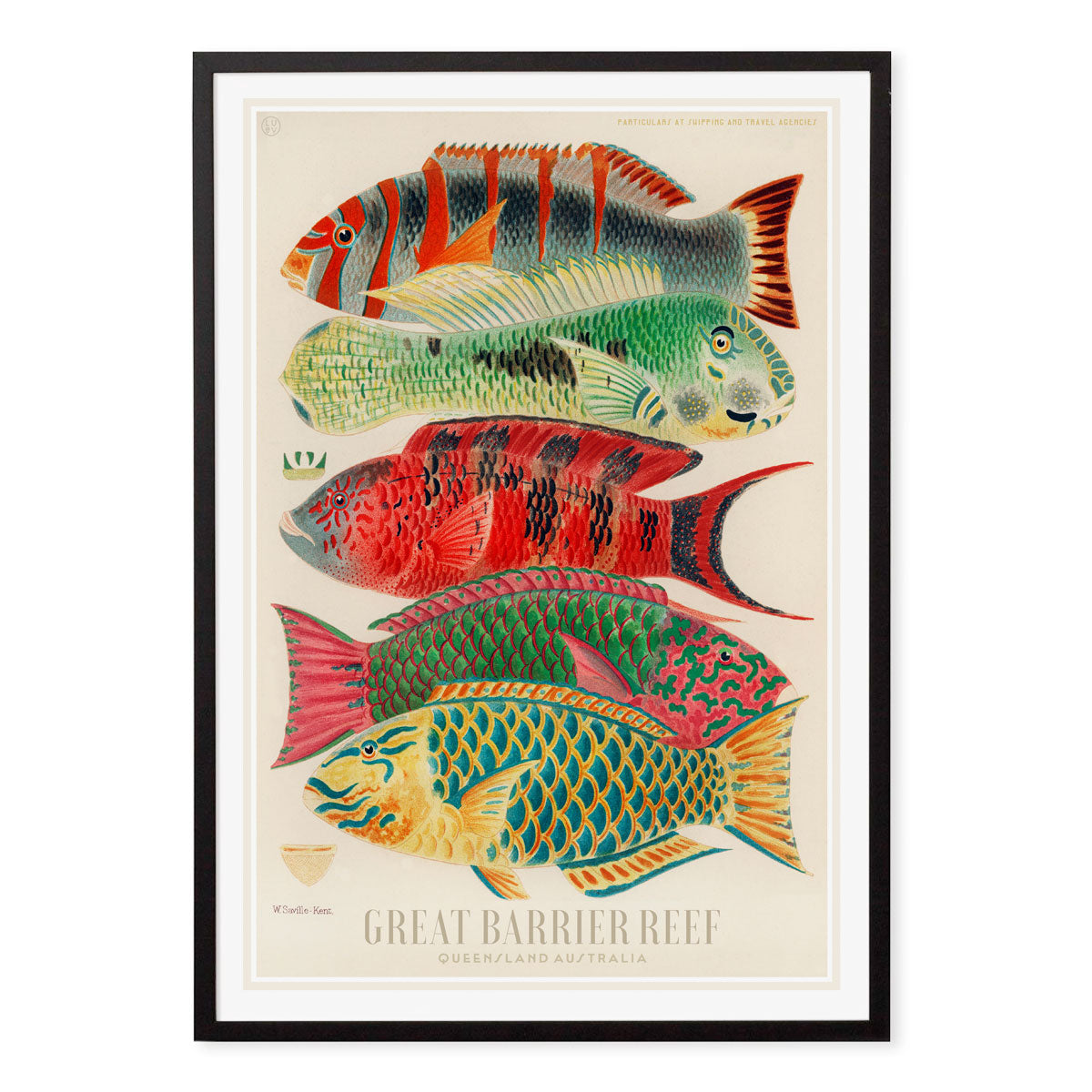 Great Barrier Reef vintage retro poster print in black frame from Places We Luv