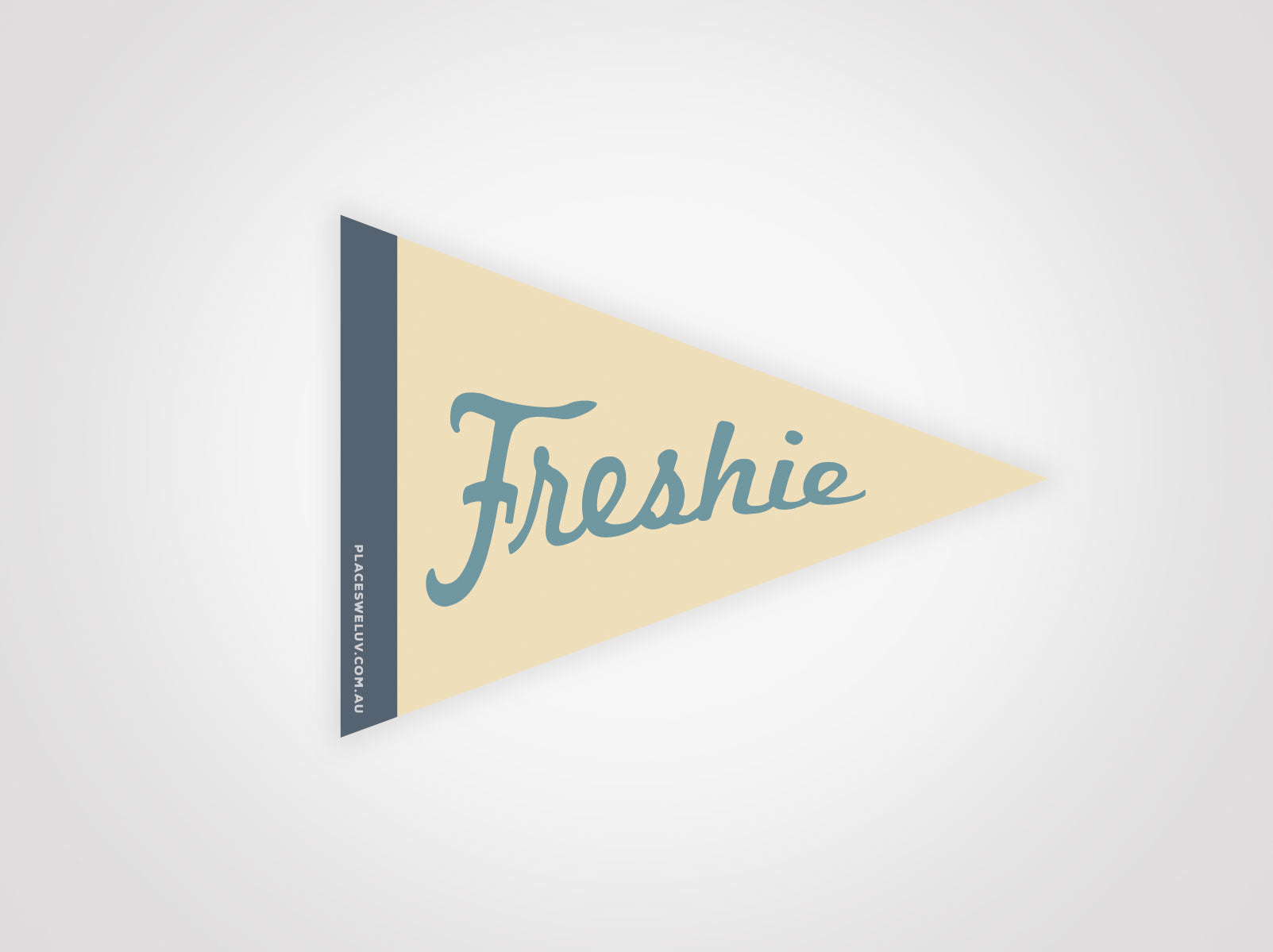Freshwater beach vintage travel style flag decals by places we luv
