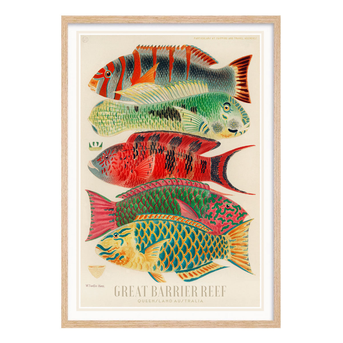 Great Barrier Reef vintage retro poster print in oak from Places We Luv