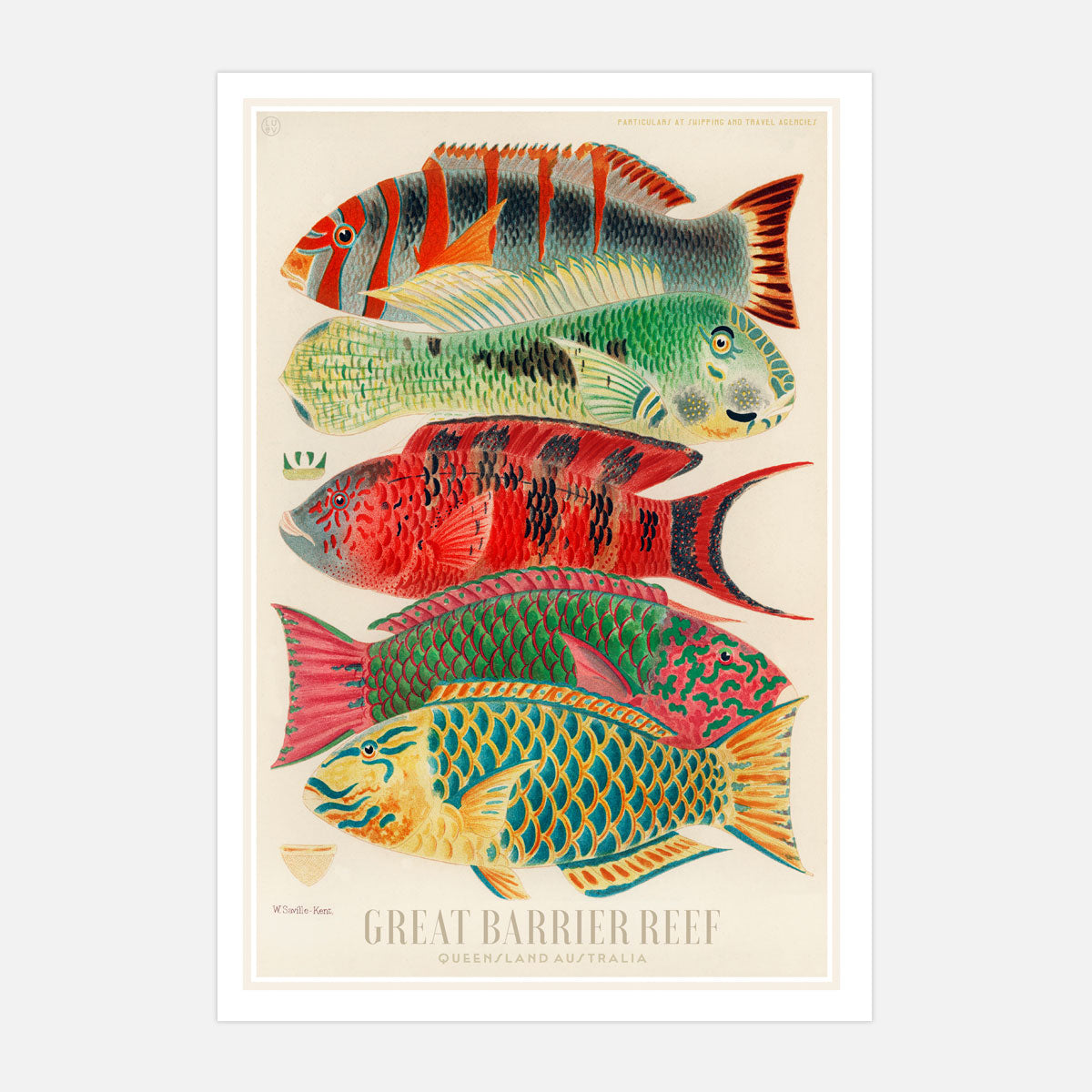 Great Barrier Reef vintage retro poster print from Places We Luv