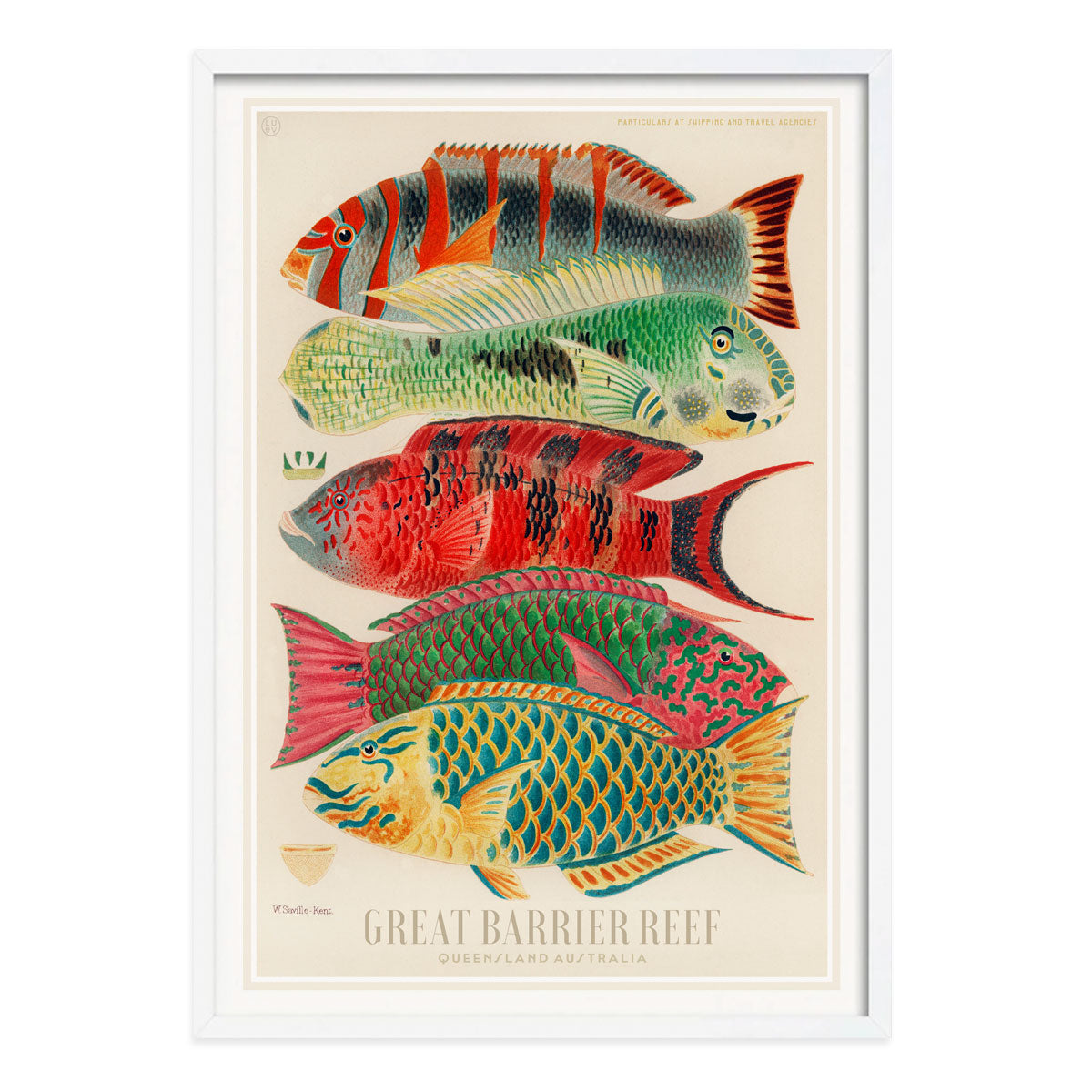 Great Barrier Reef vintage retro poster print in white frame from Places We Luv