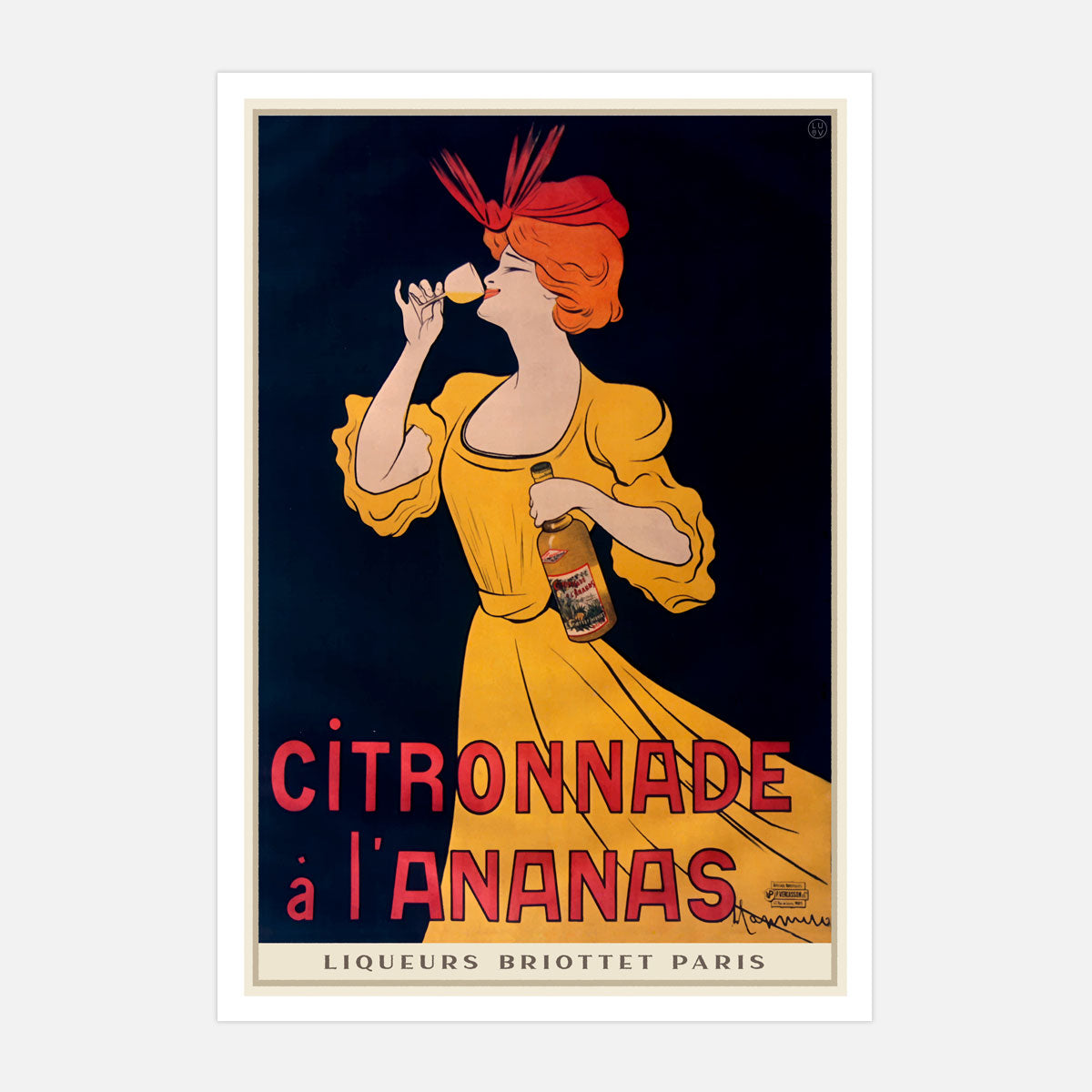 L'ananas Paris Retro vintage poster from Places we Luv