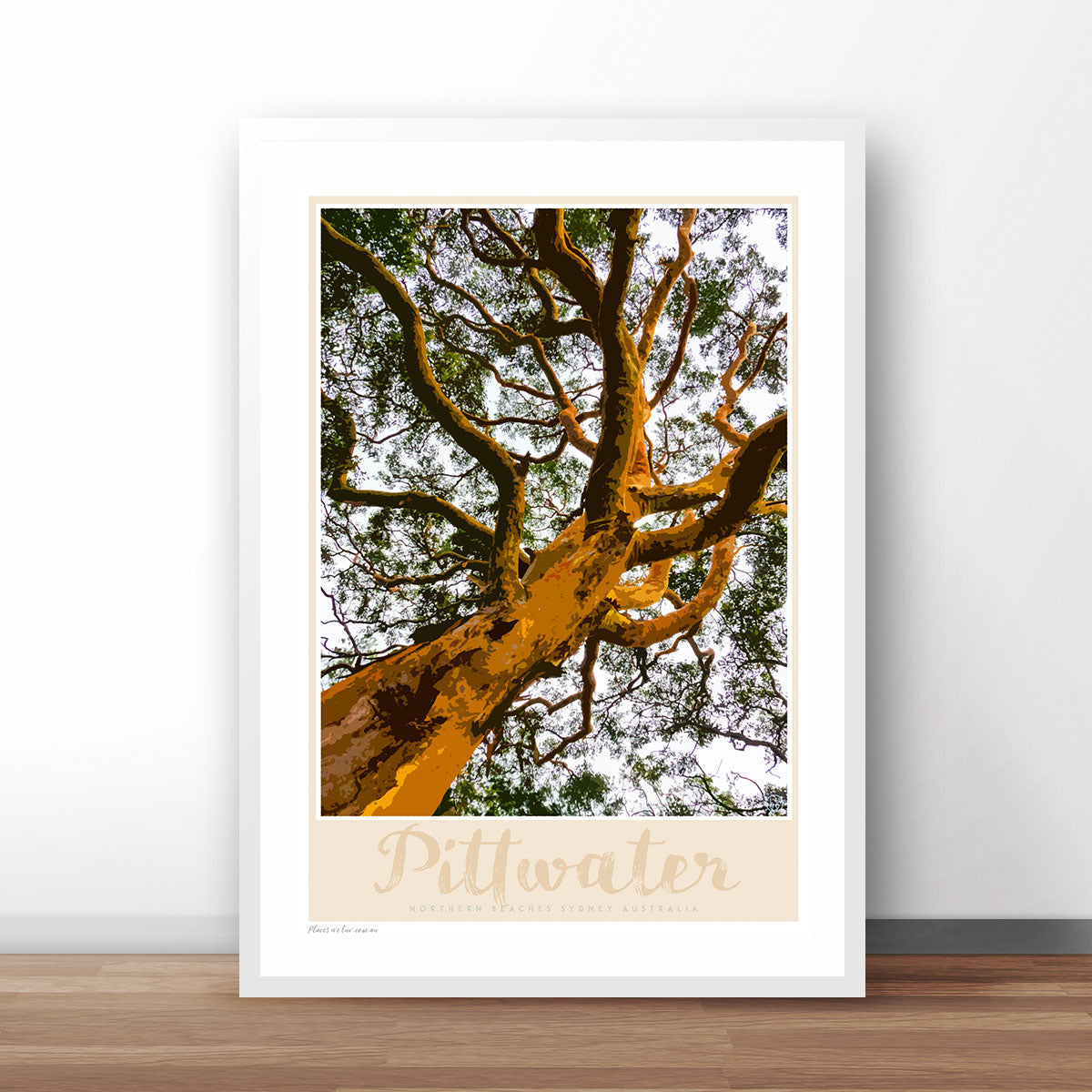 Pittwater Gum Tree Print
