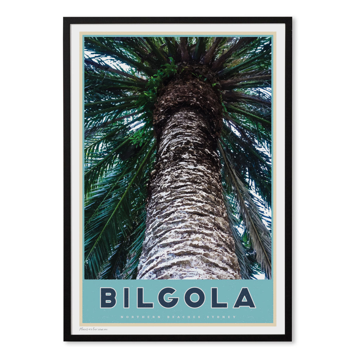 Bilgola Palm Travel Print