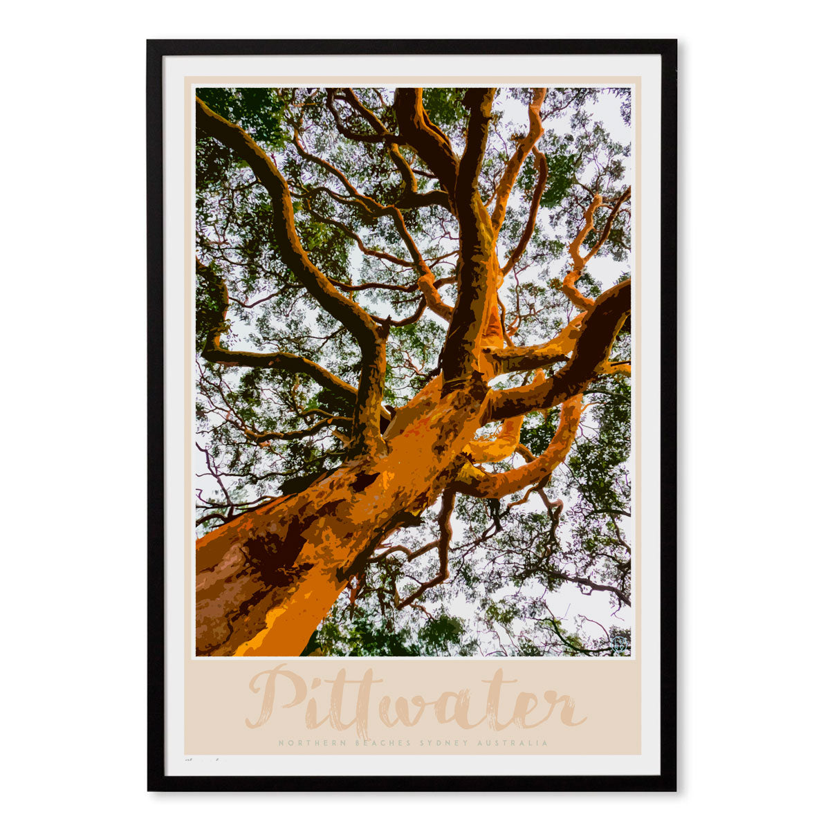 Pittwater Gum Tree Print