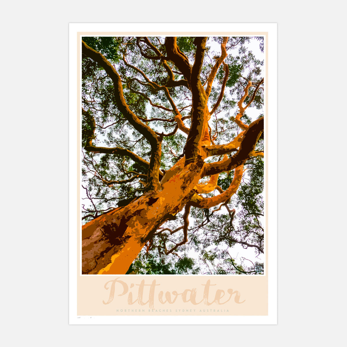 Pittwater Gum Tree Print