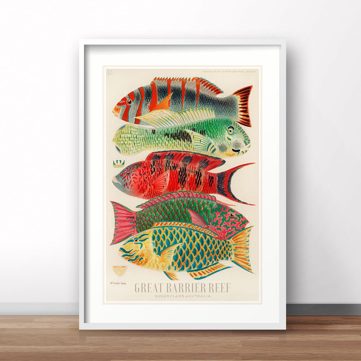 Barrier Reef fish vintage retro poster